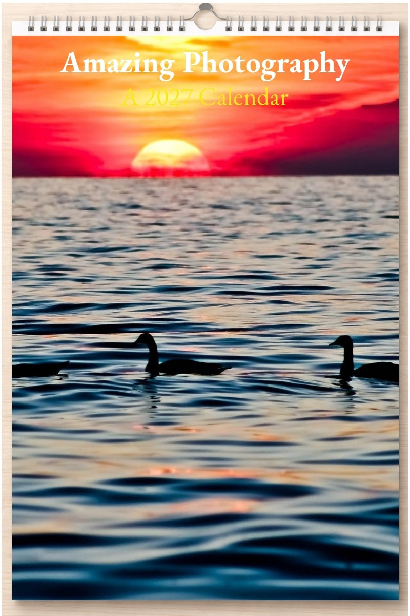 Amazing Photography: A 2027 Calendar