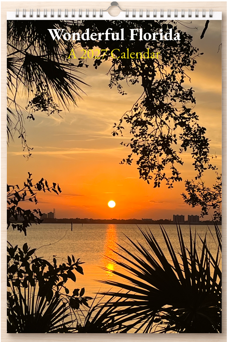 Wonderful Florida: A 2027 Calendar