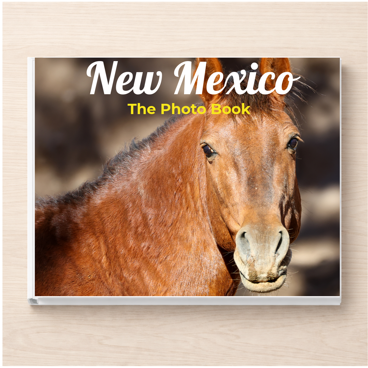 New Mexico: The Photo Book