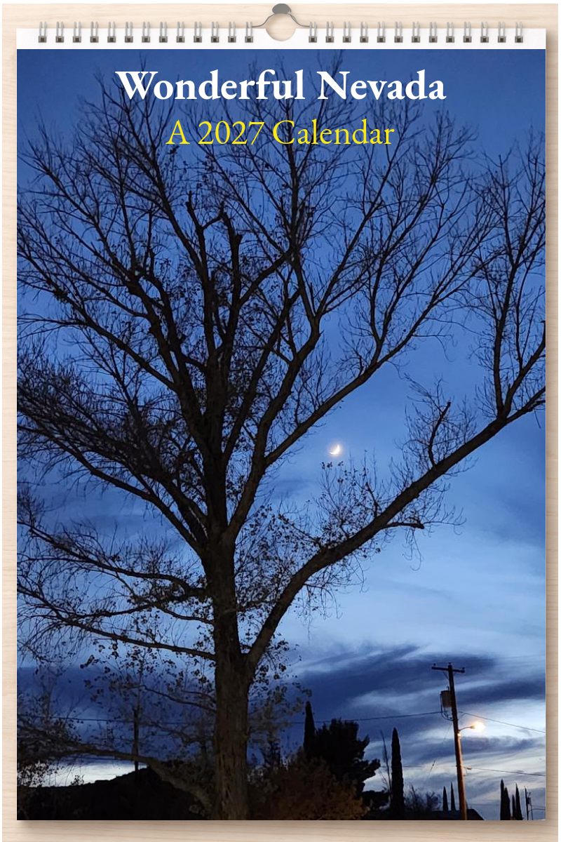 Wonderful Nevada: A 2027 Calendar