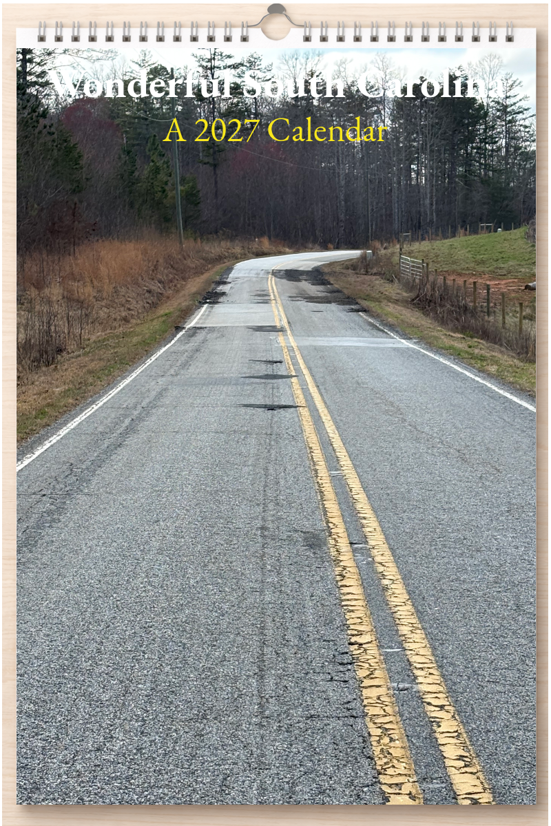 Wonderful South Carolina: A 2027 Calendar
