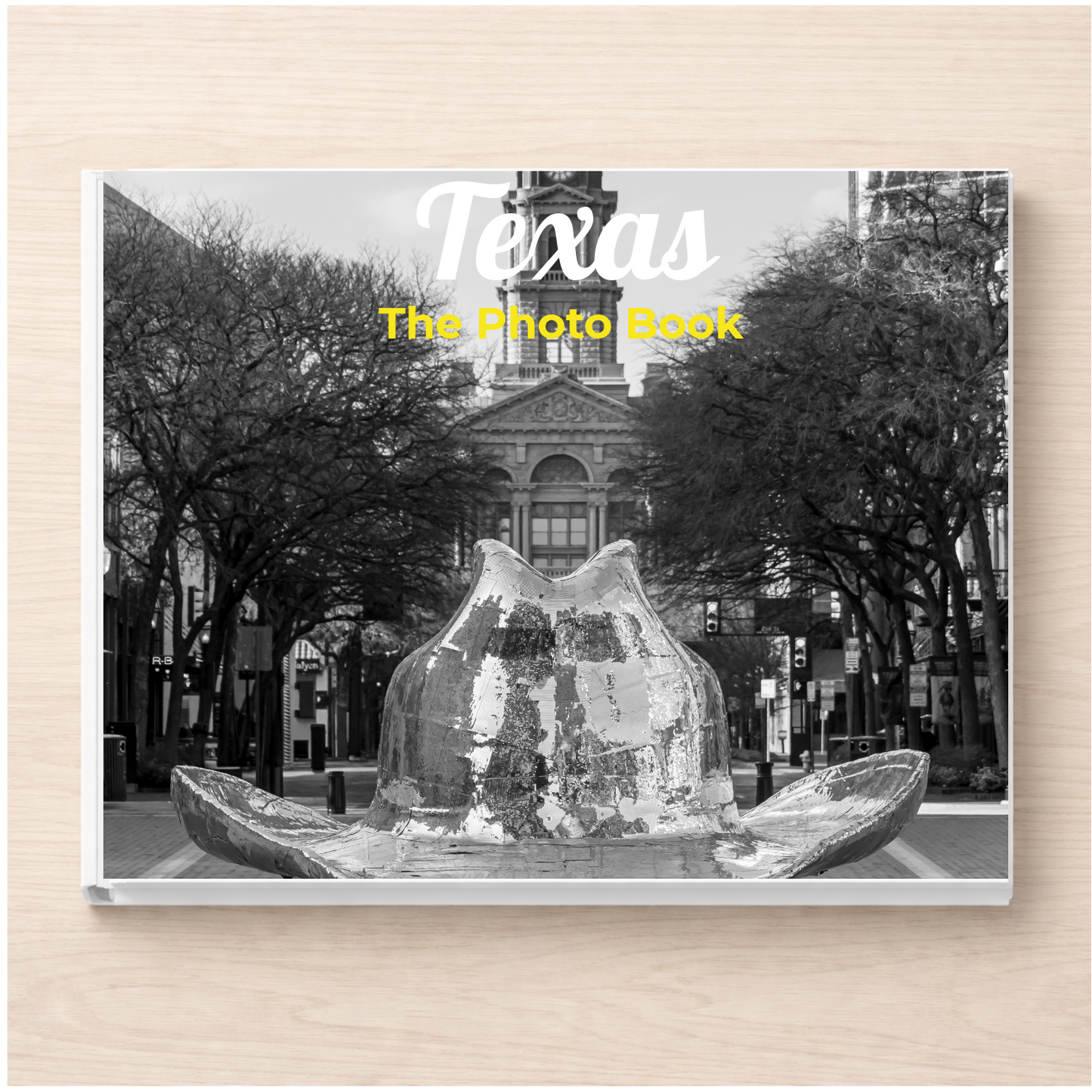 Texas: The Photo Book