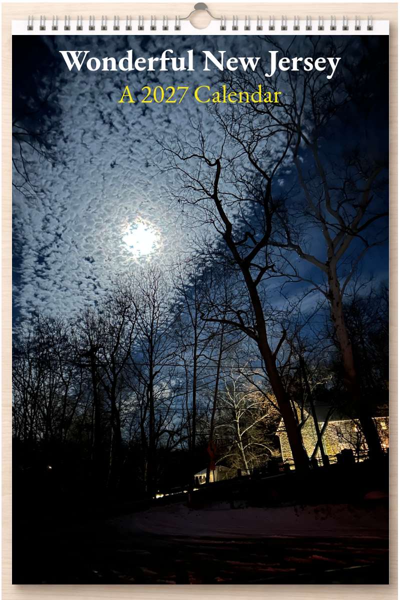 Wonderful New Jersey: A 2027 Calendar