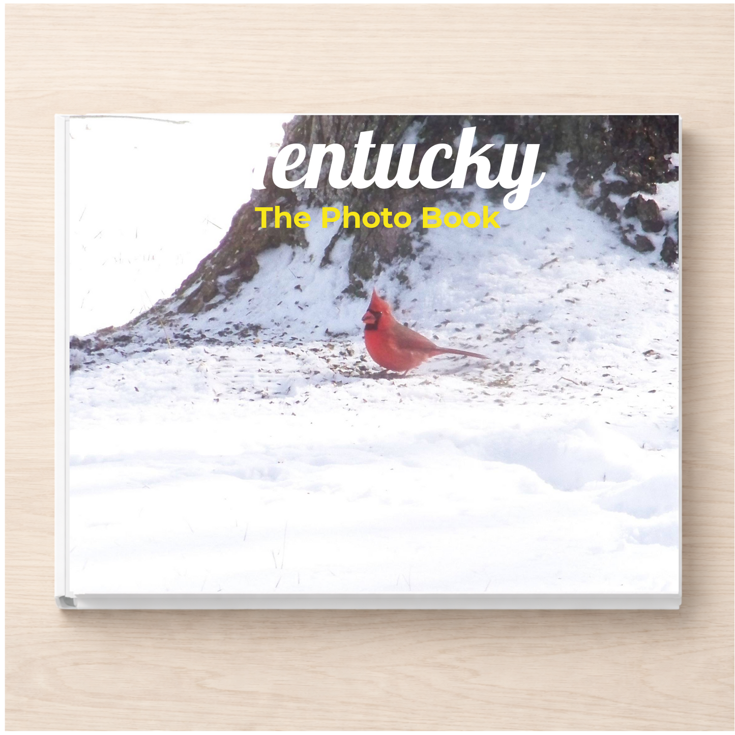 Kentucky: The Photo Book