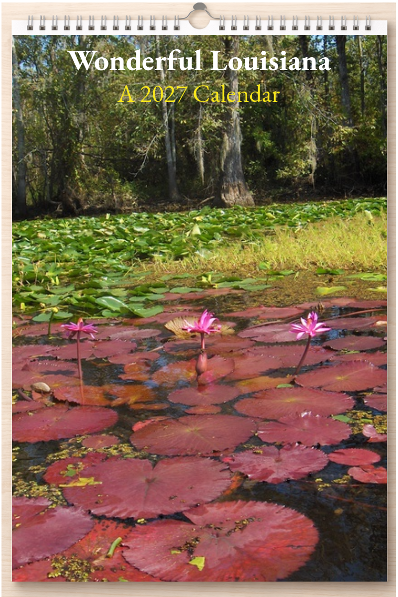 Wonderful Louisiana: A 2027 Calendar