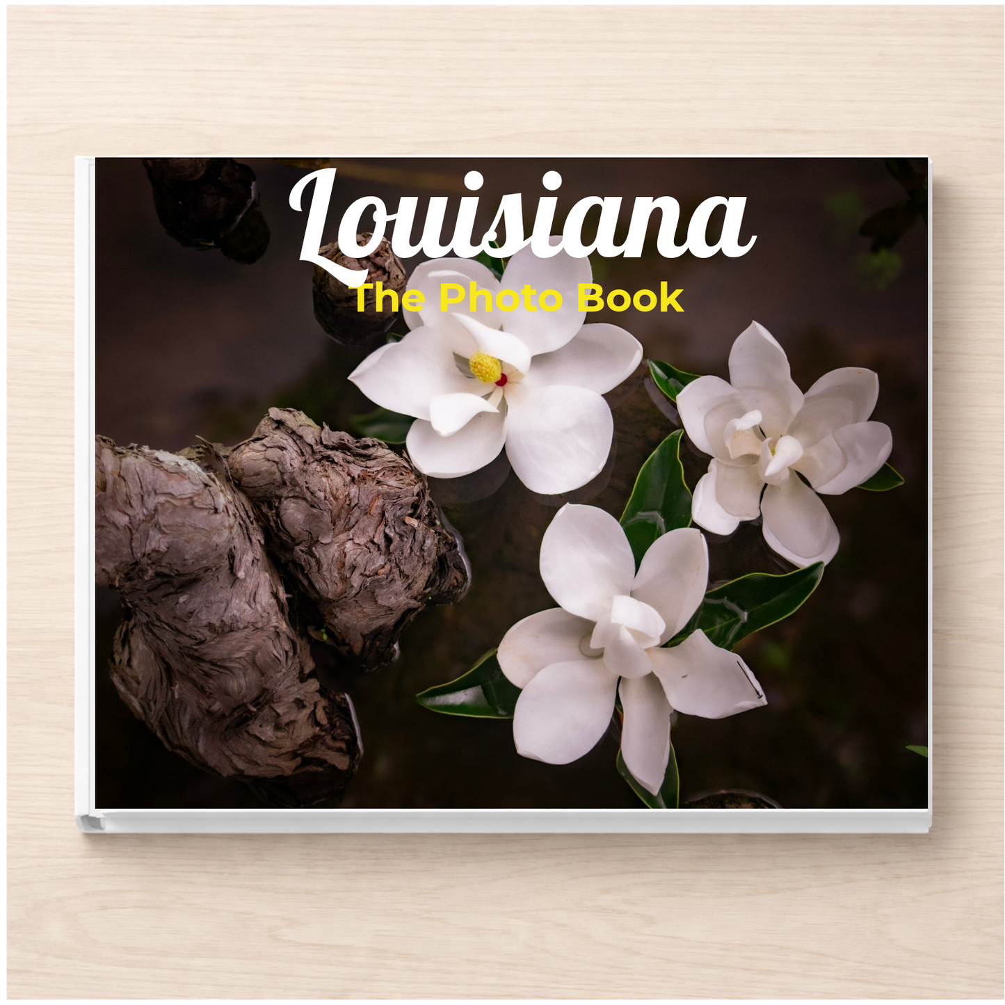 Louisiana: The Photo Book