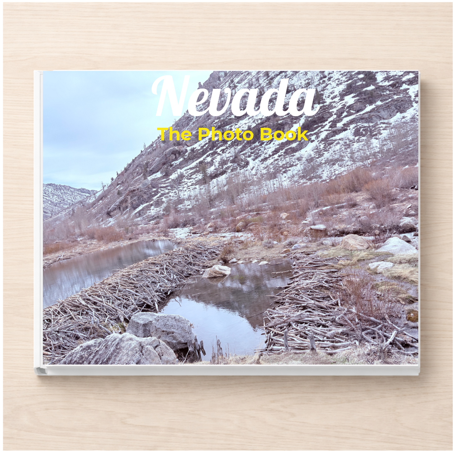 Nevada: The Photo Book