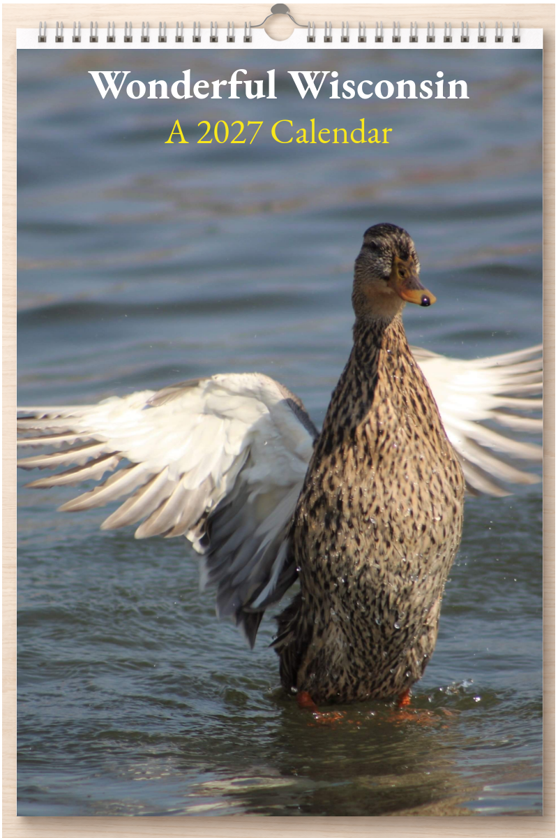 Wonderful Wisconsin: A 2027 Calendar