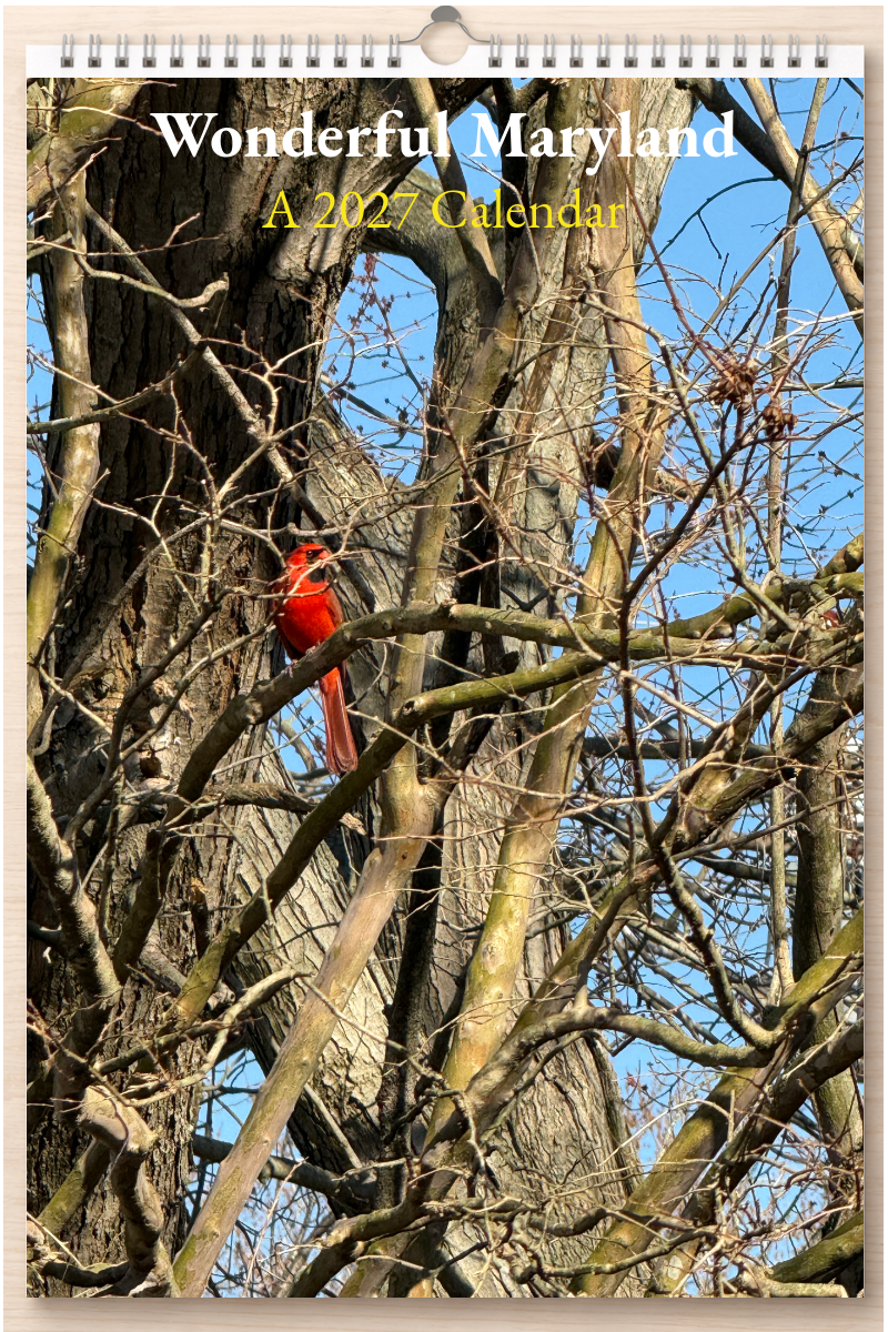 Wonderful Maryland: A 2027 Calendar