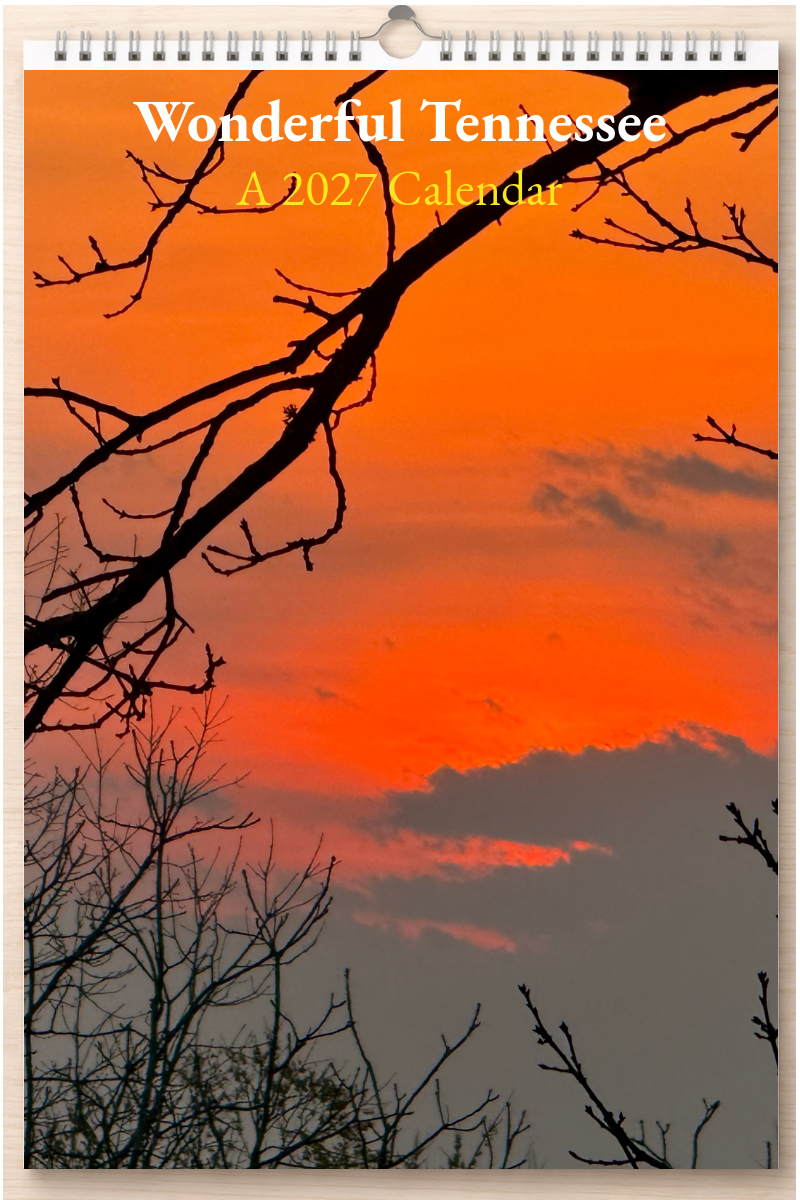 Wonderful Tennessee: A 2027 Calendar