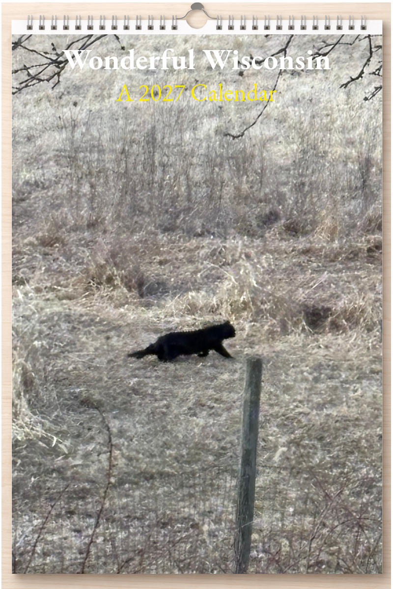 Wonderful Wisconsin: A 2027 Calendar