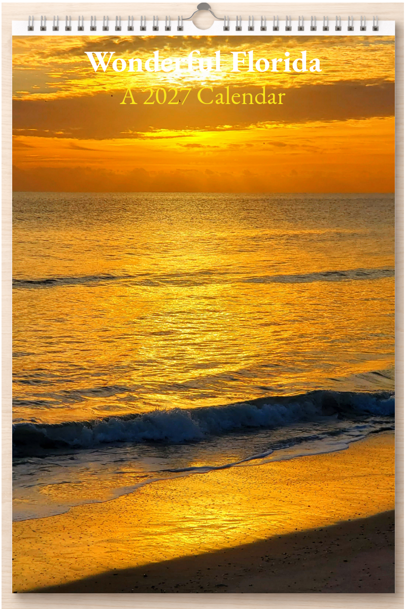 Wonderful Florida: A 2027 Calendar