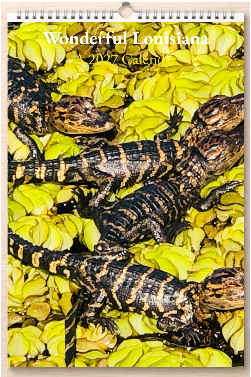 Wonderful Louisiana: A 2027 Calendar