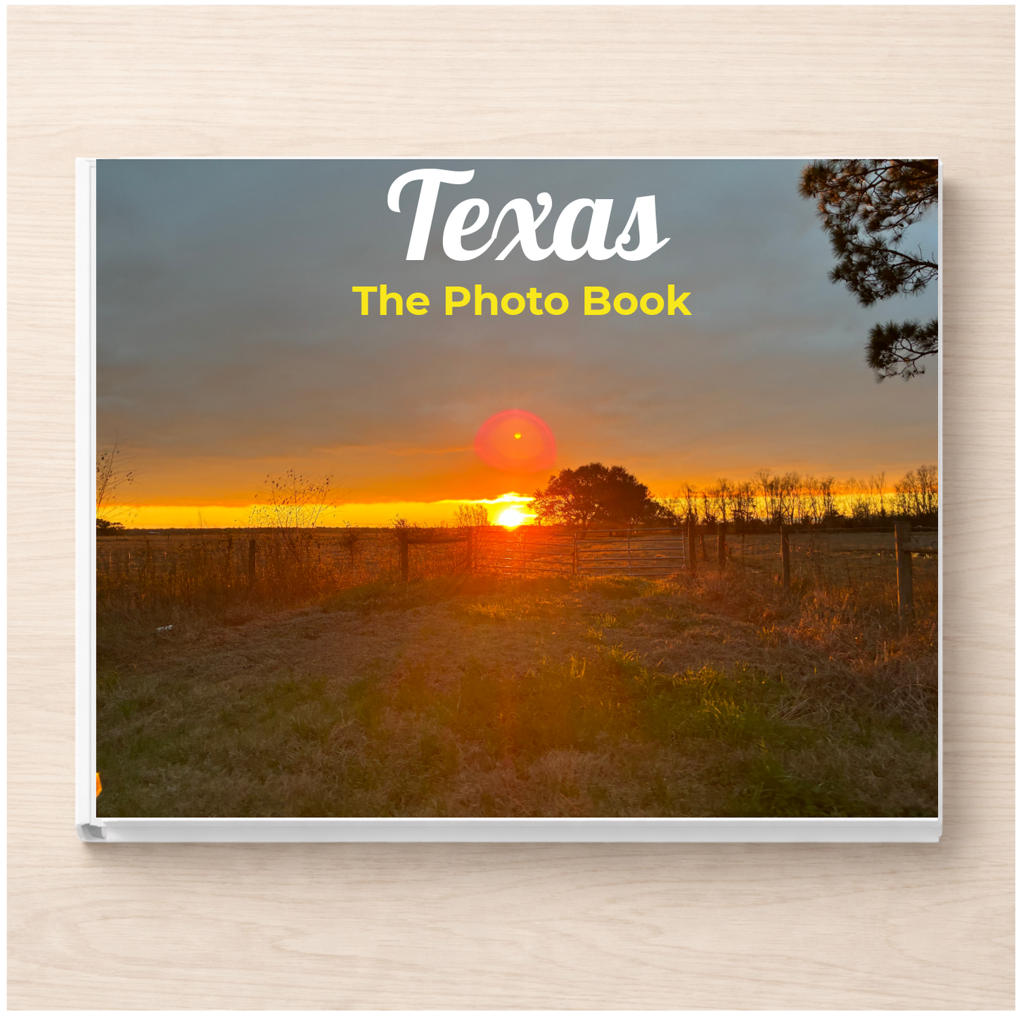 Texas: The Photo Book