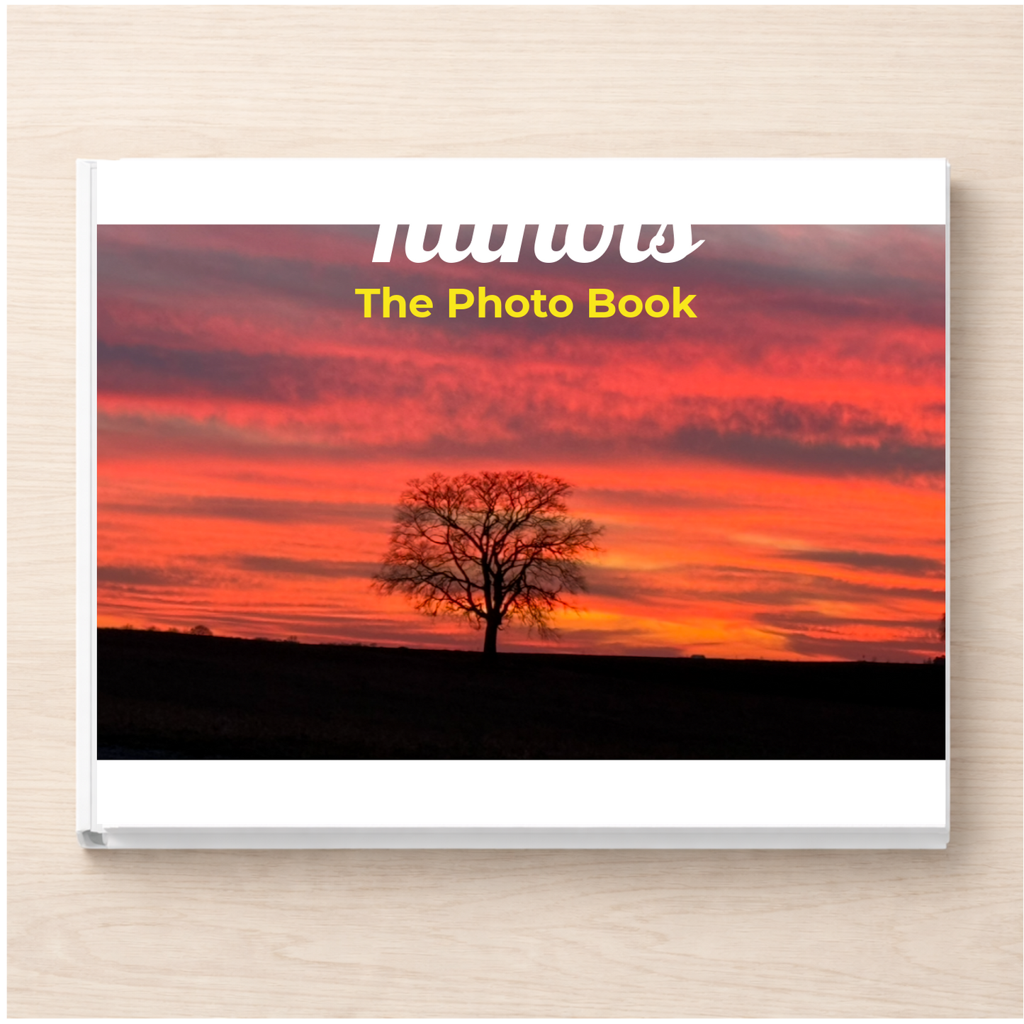 Illinois: The Photo Book