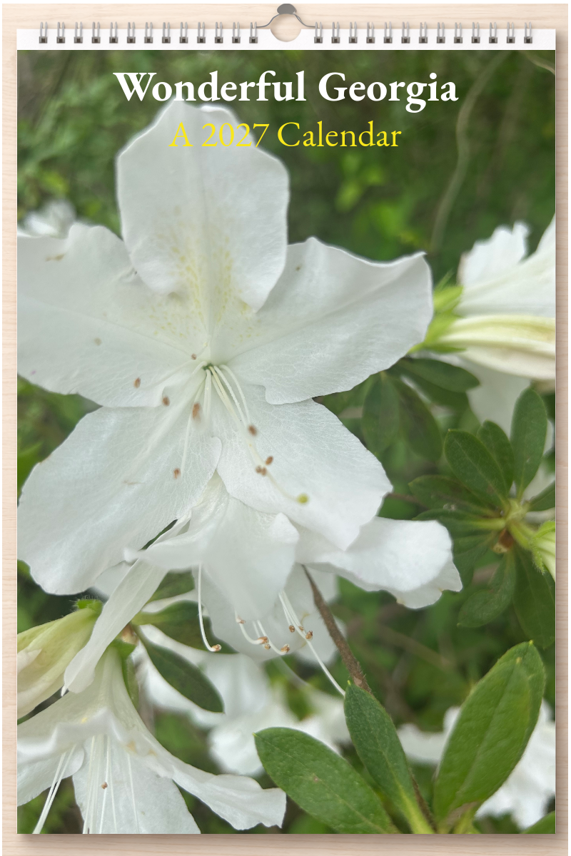 Wonderful Georgia: A 2027 Calendar
