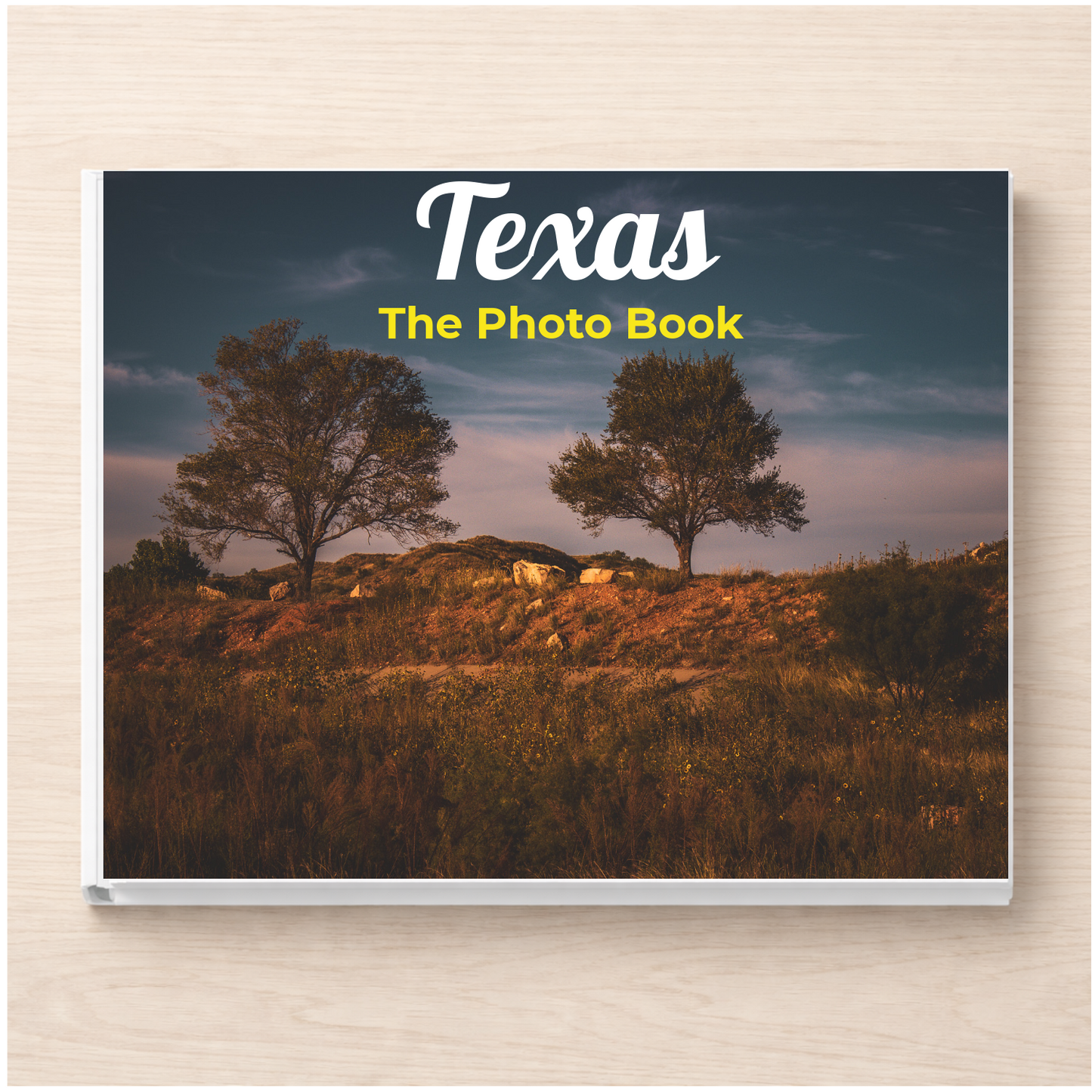 Texas: The Photo Book