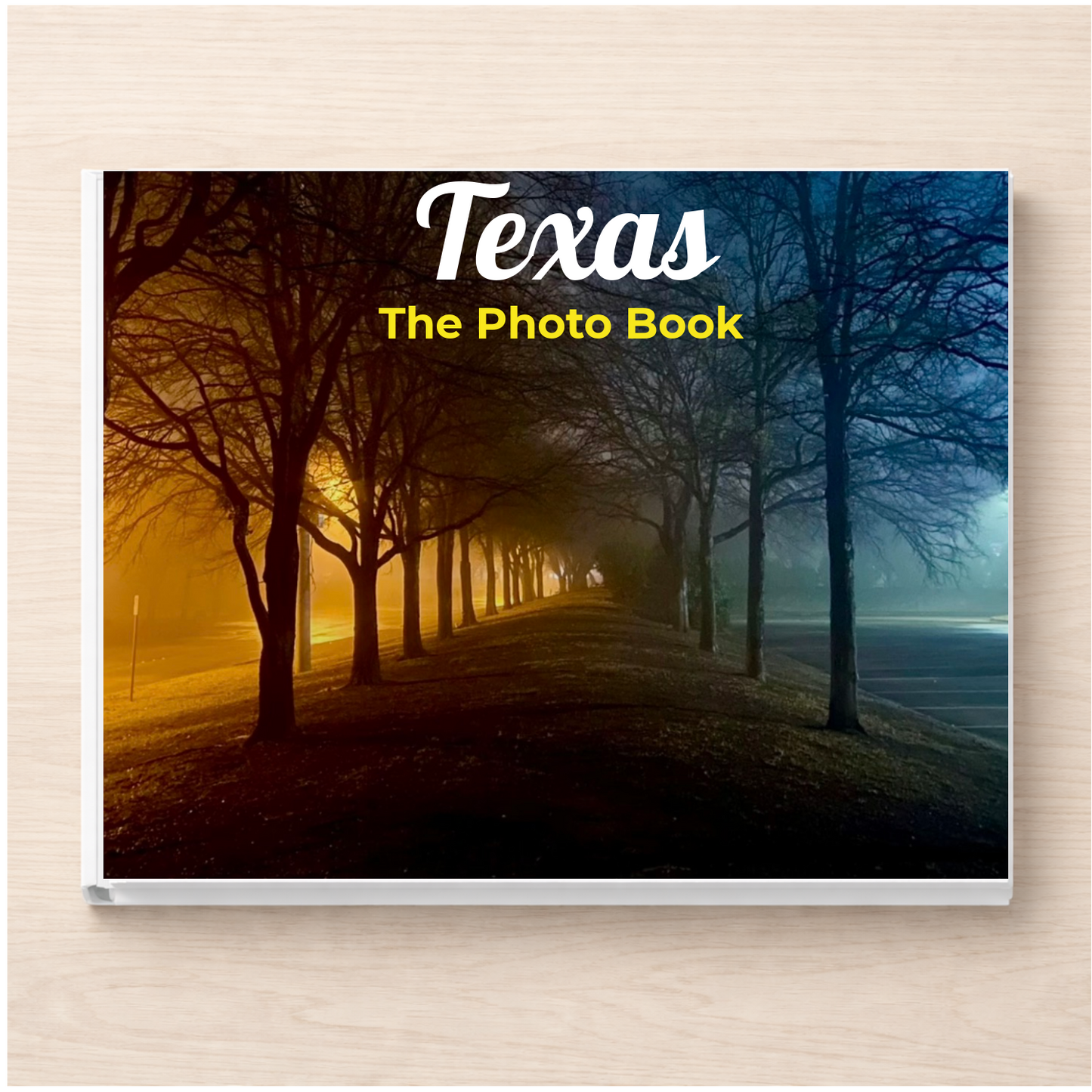 Texas: The Photo Book