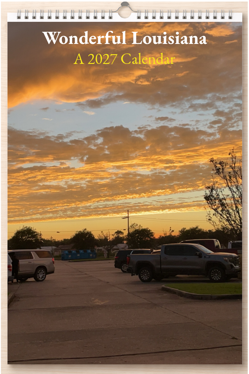 Wonderful Louisiana: A 2027 Calendar