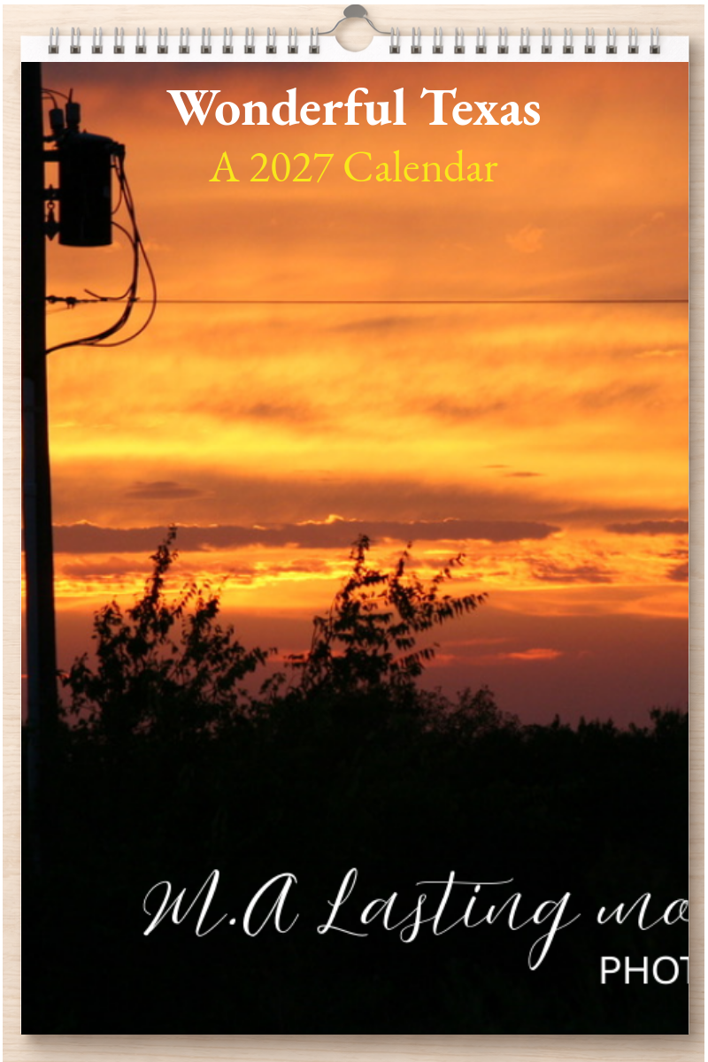 Wonderful Texas: A 2027 Calendar