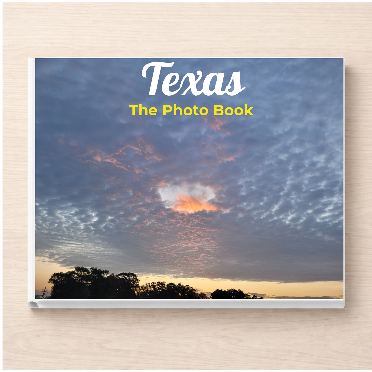 Texas: The Photo Book