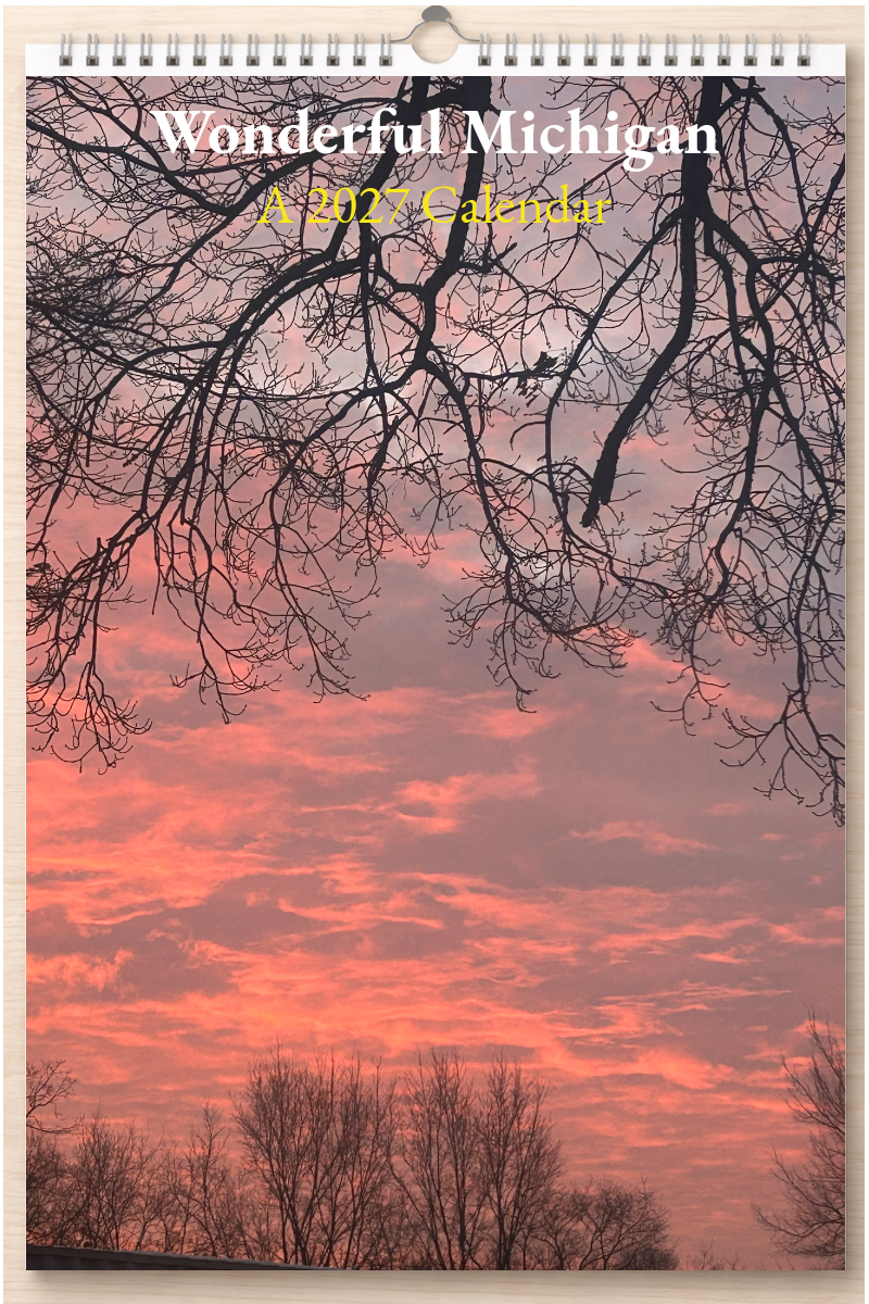 Wonderful Michigan: A 2027 Calendar