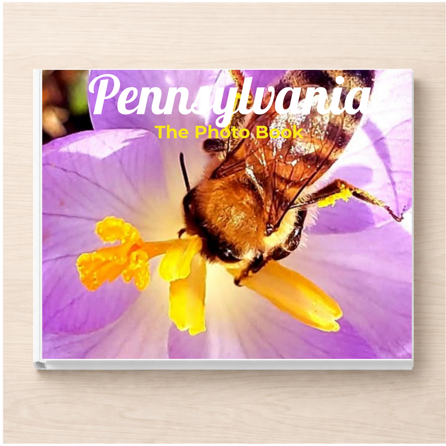 Pennsylvania: The Photo Book