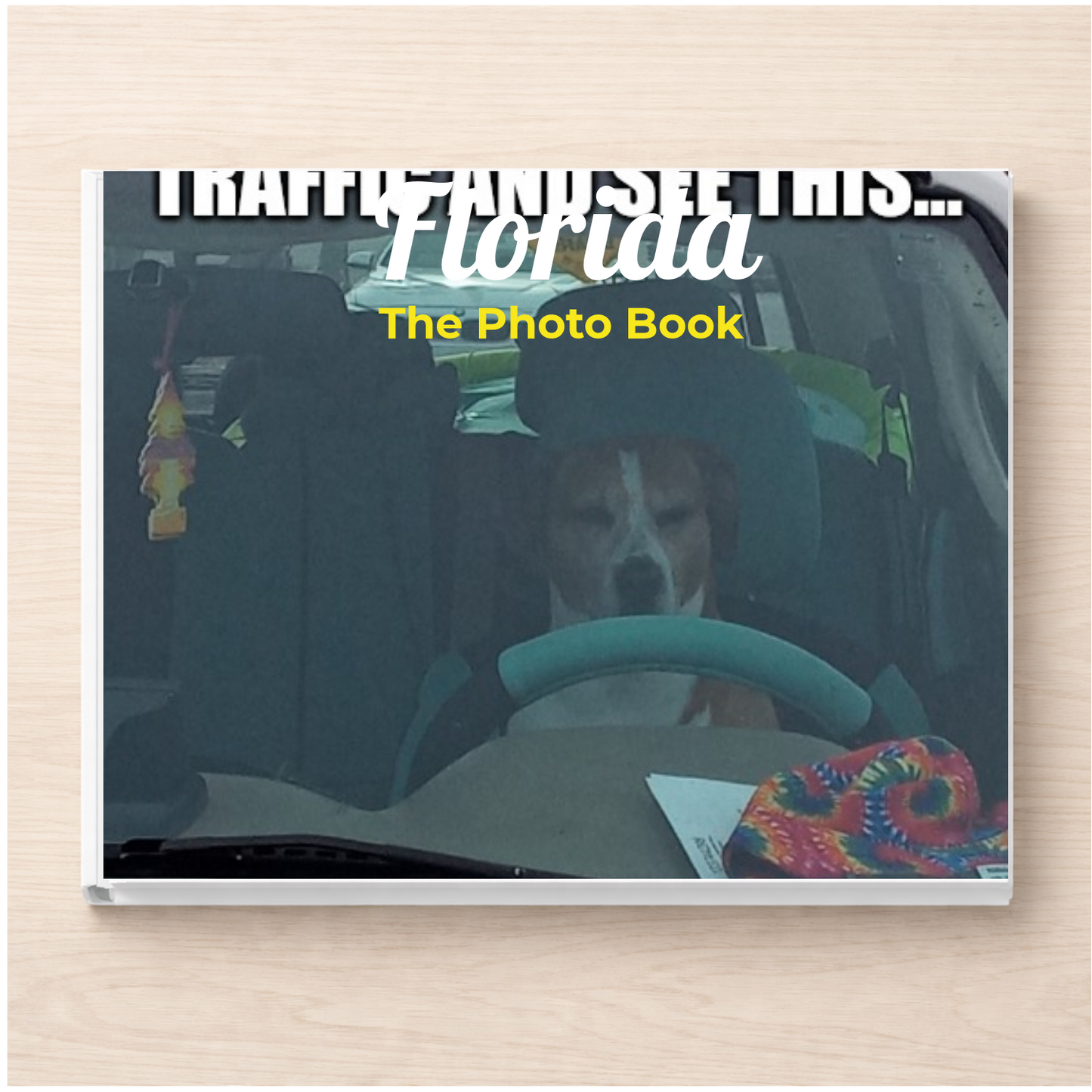Florida: The Photo Book