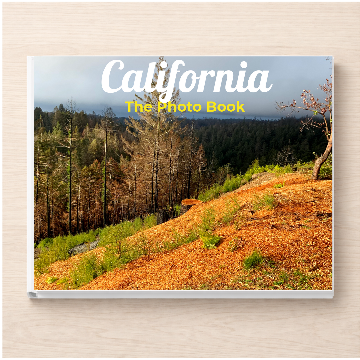 California: The Photo Book