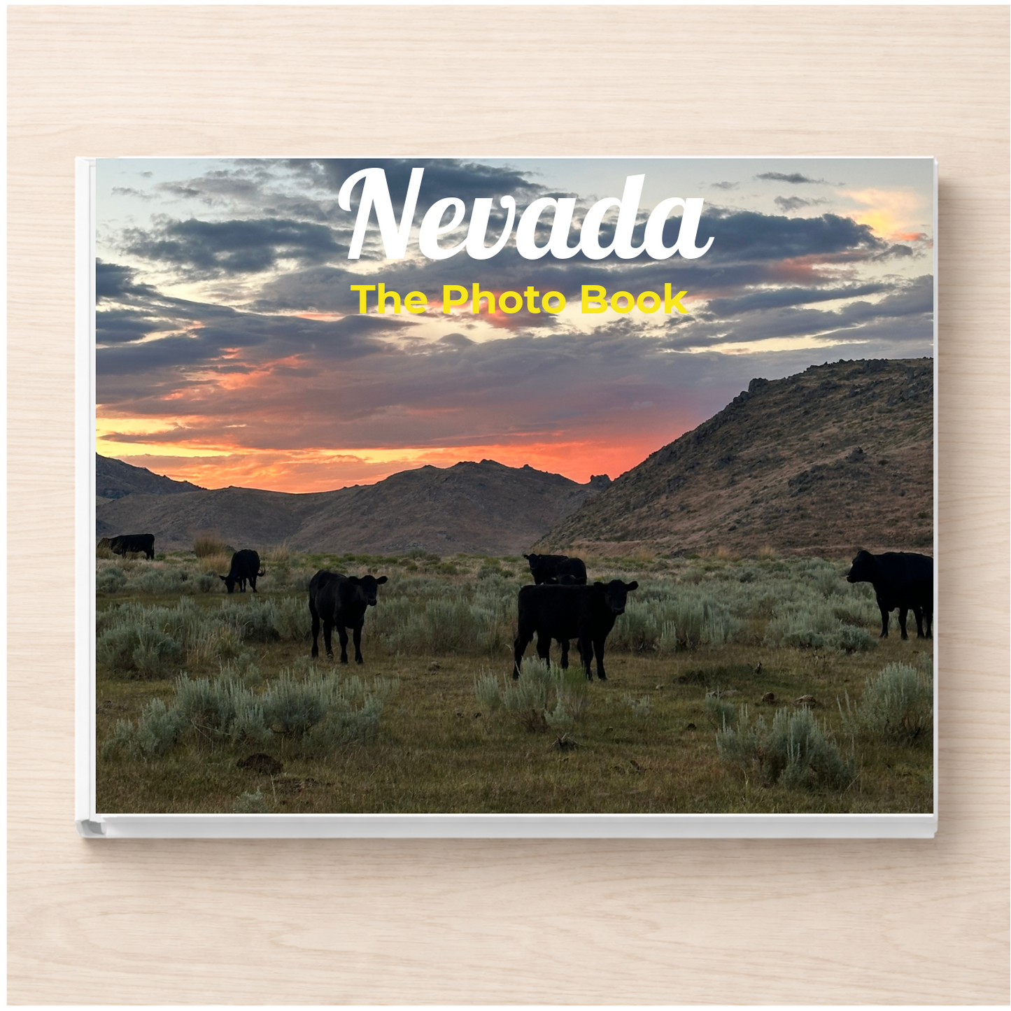 Nevada: The Photo Book