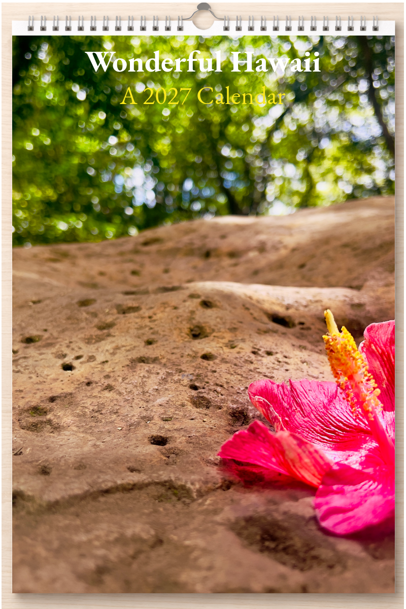 Wonderful Hawaii: A 2027 Calendar