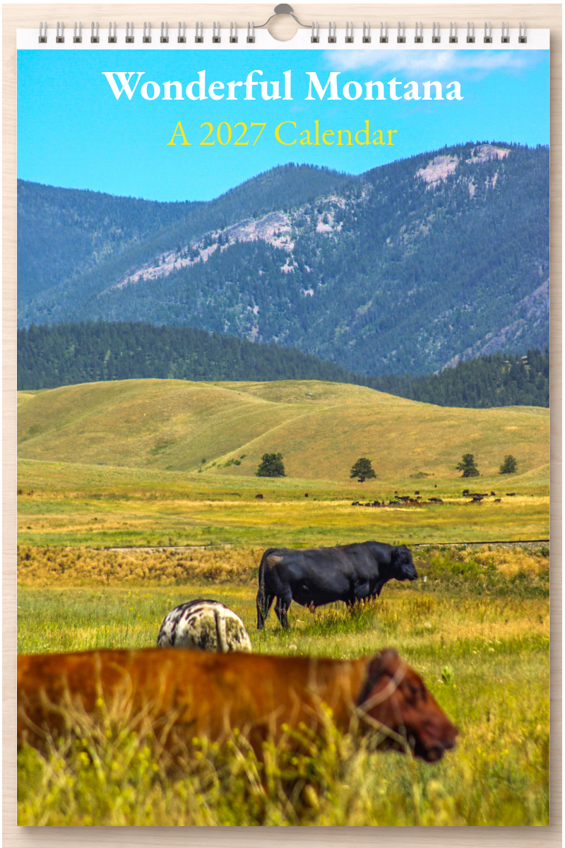 Wonderful Montana: A 2027 Calendar