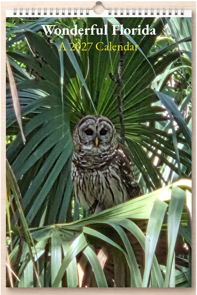 Wonderful Florida: A 2027 Calendar