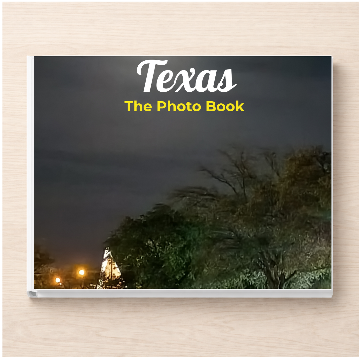 Texas: The Photo Book