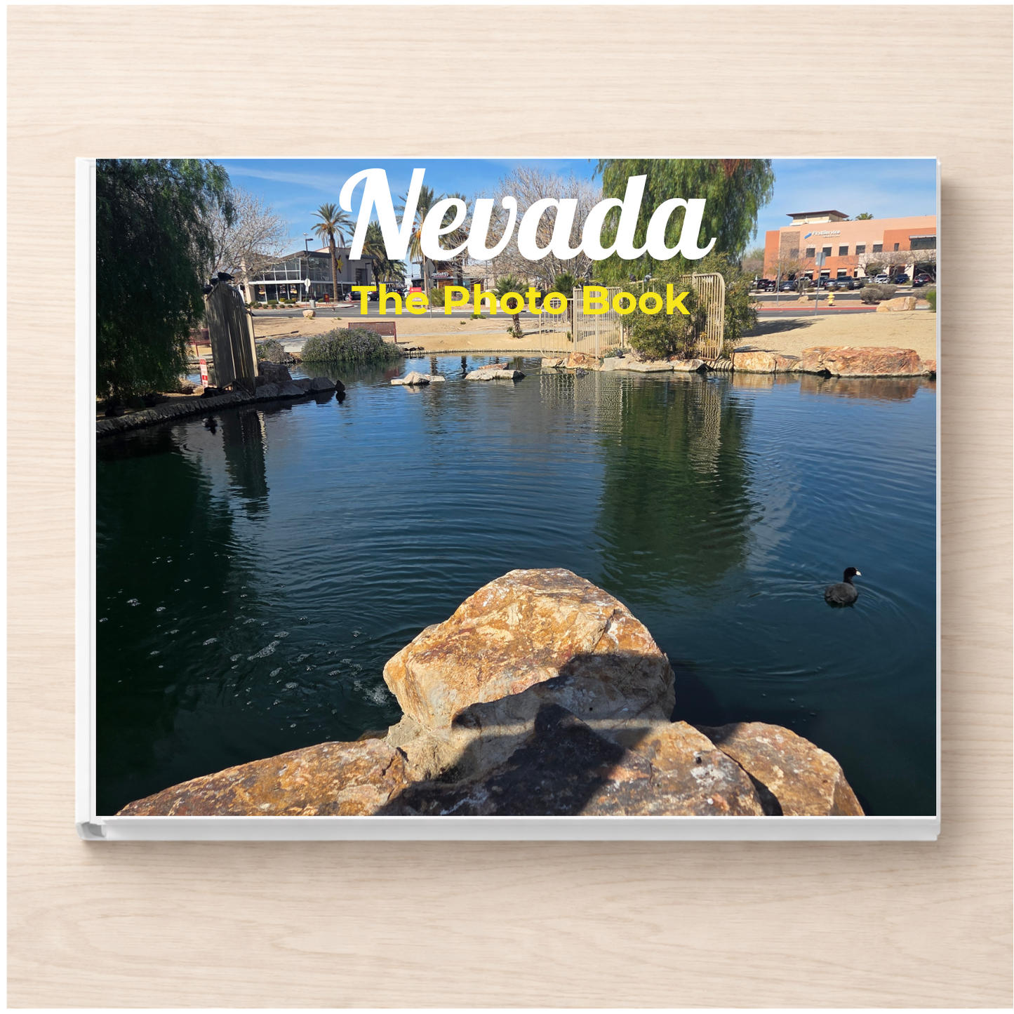 Nevada: The Photo Book