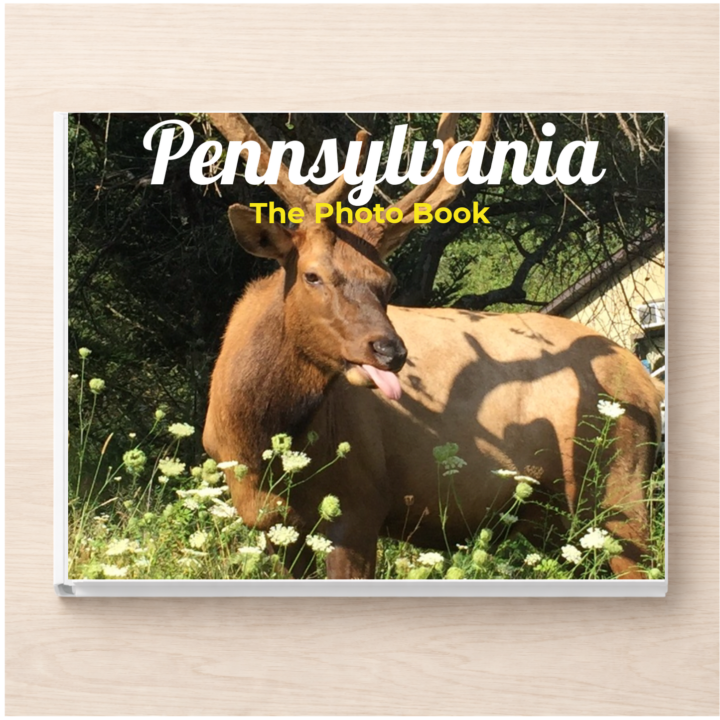 Pennsylvania: The Photo Book