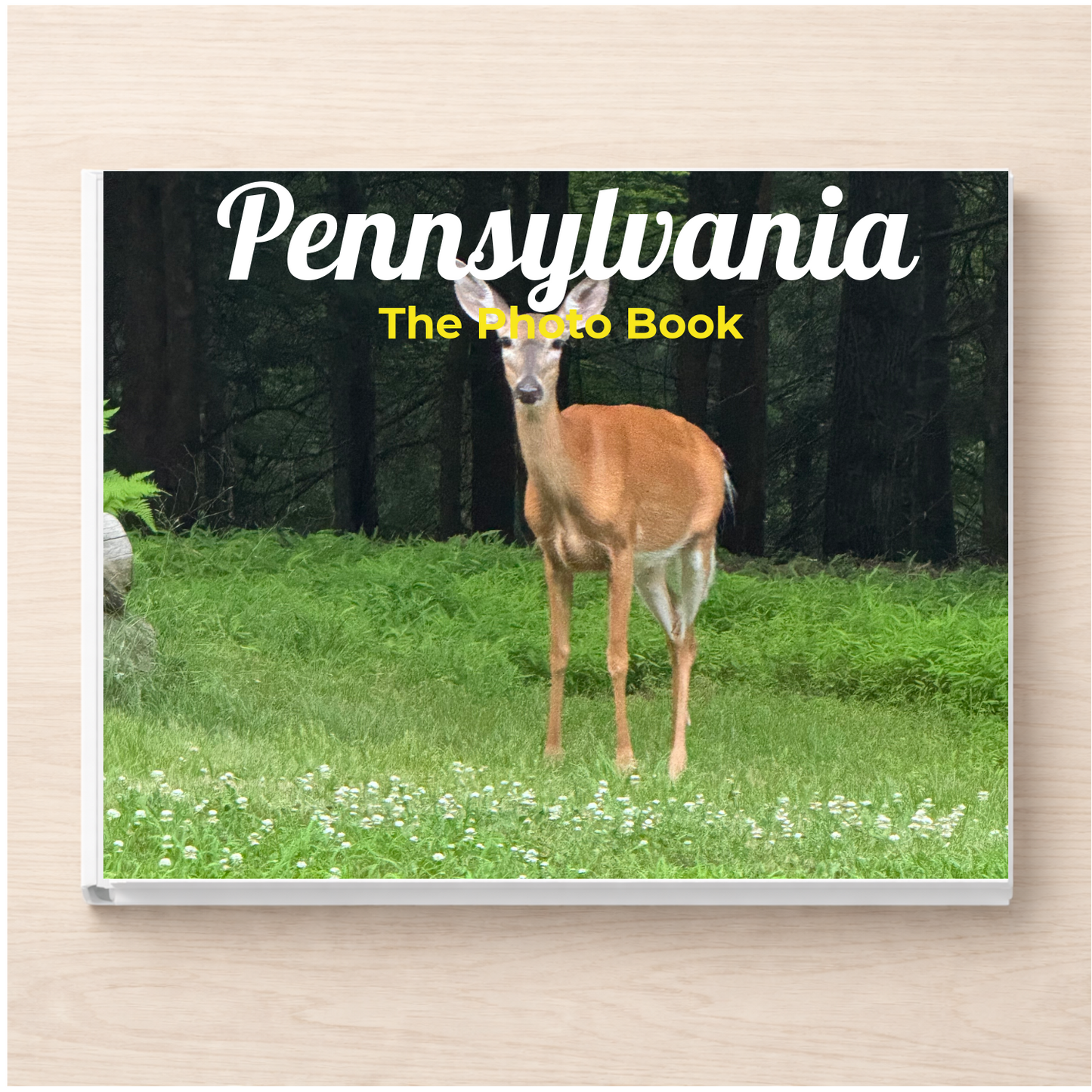 Pennsylvania: The Photo Book