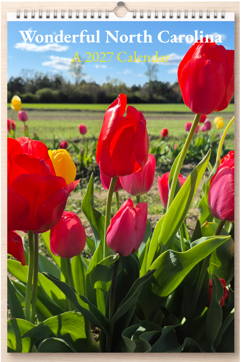 Wonderful North Carolina: A 2027 Calendar