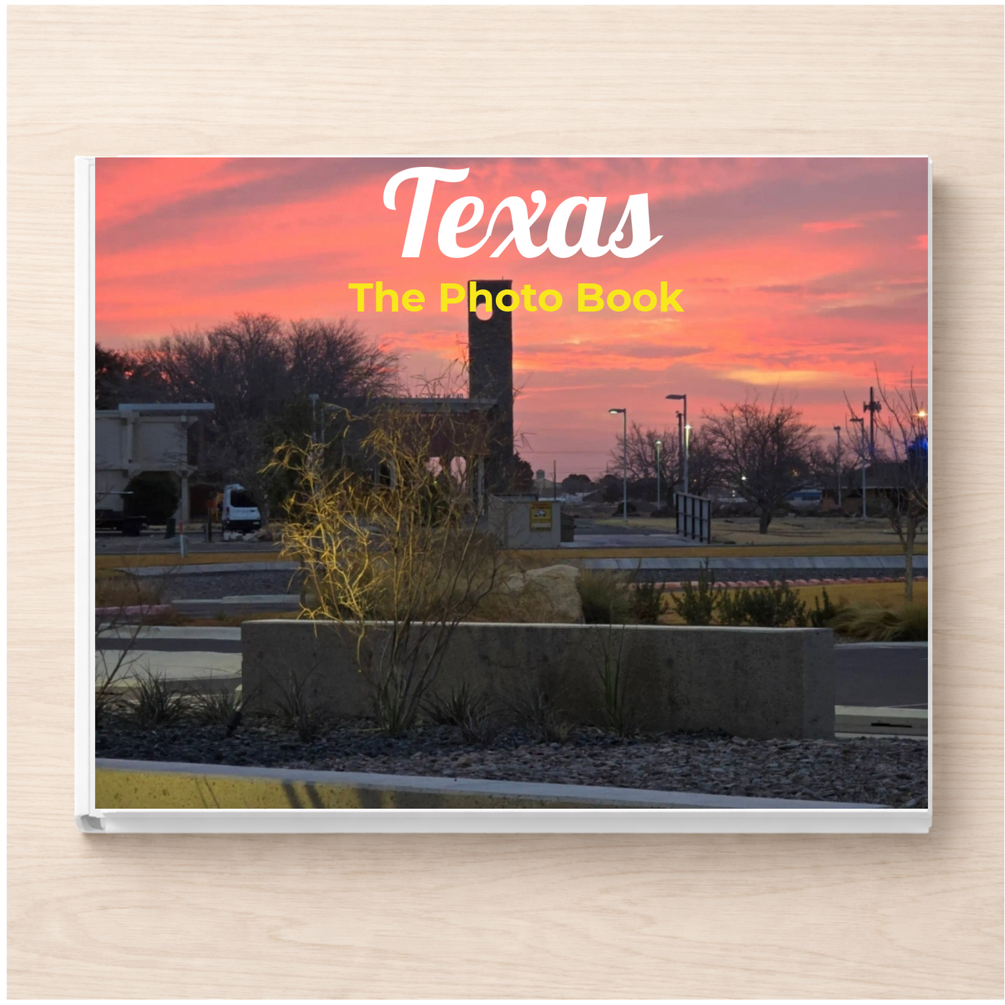 Texas: The Photo Book