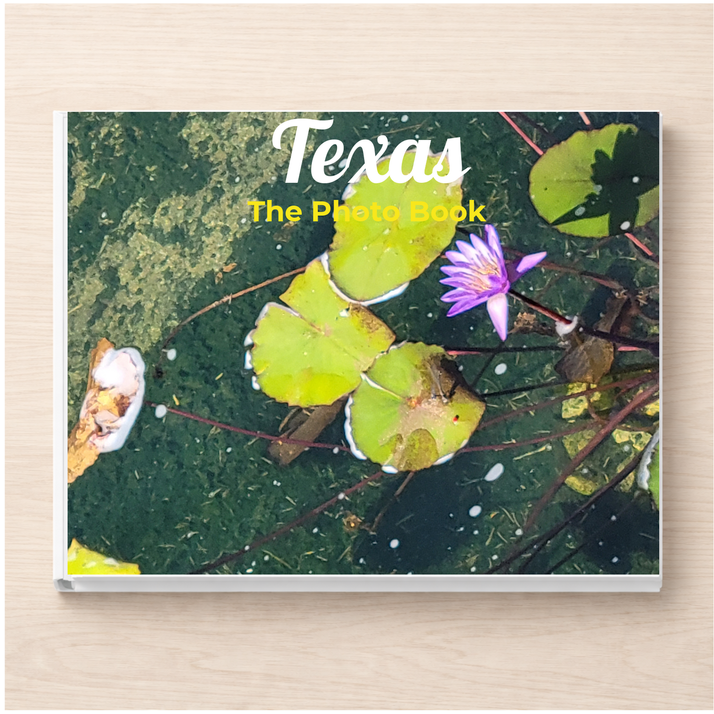 Texas: The Photo Book