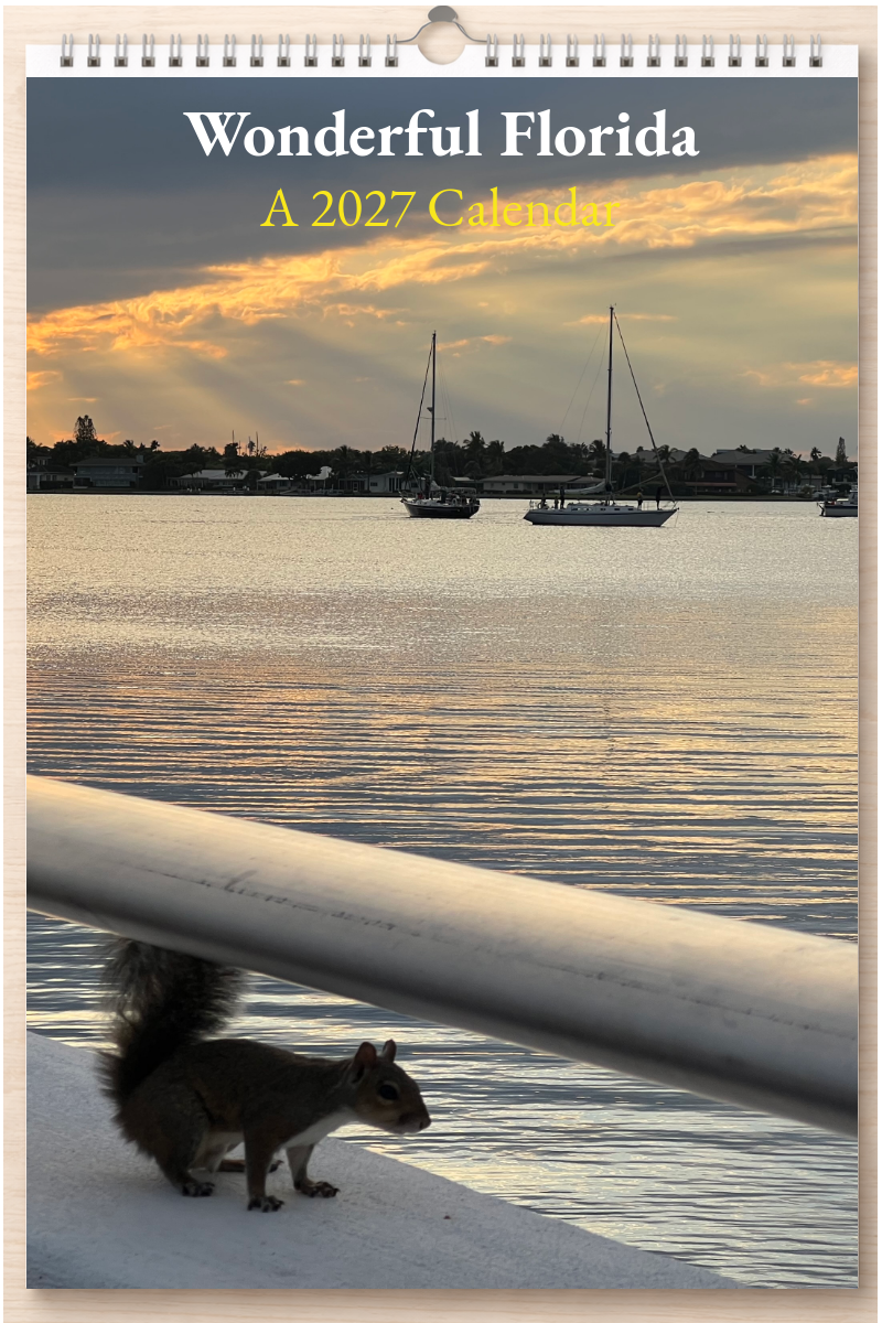 Wonderful Florida: A 2027 Calendar