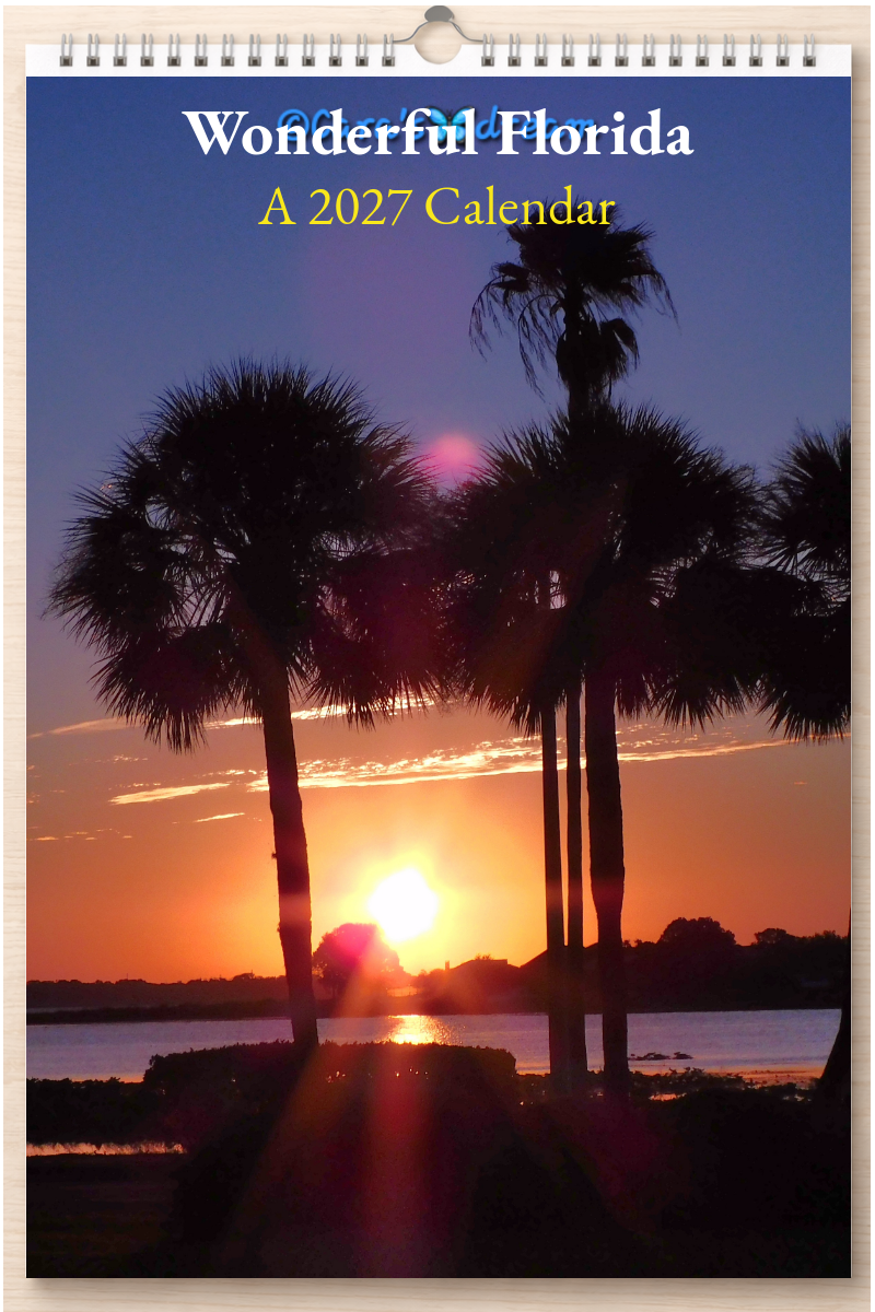 Wonderful Florida: A 2027 Calendar