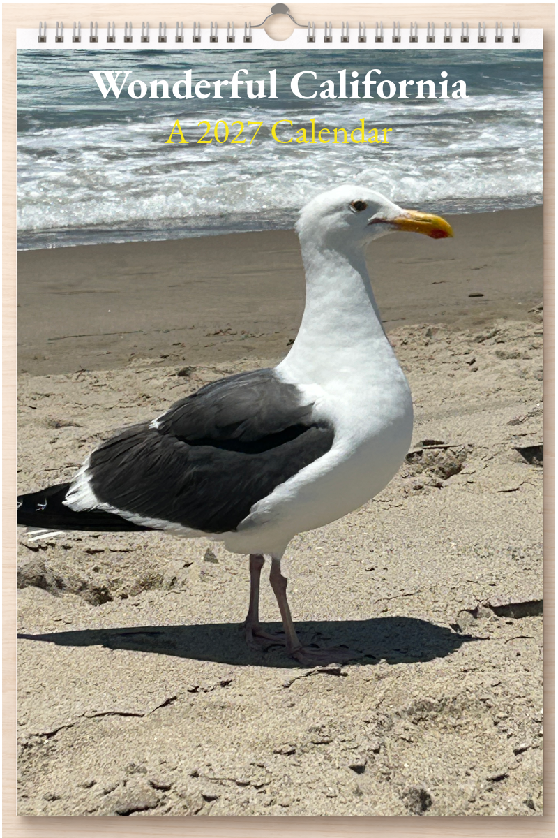 Wonderful California: A 2027 Calendar