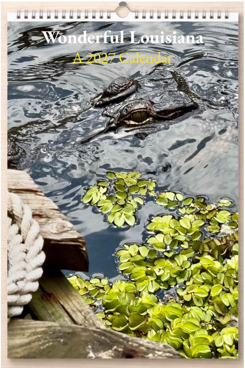 Wonderful Louisiana: A 2027 Calendar