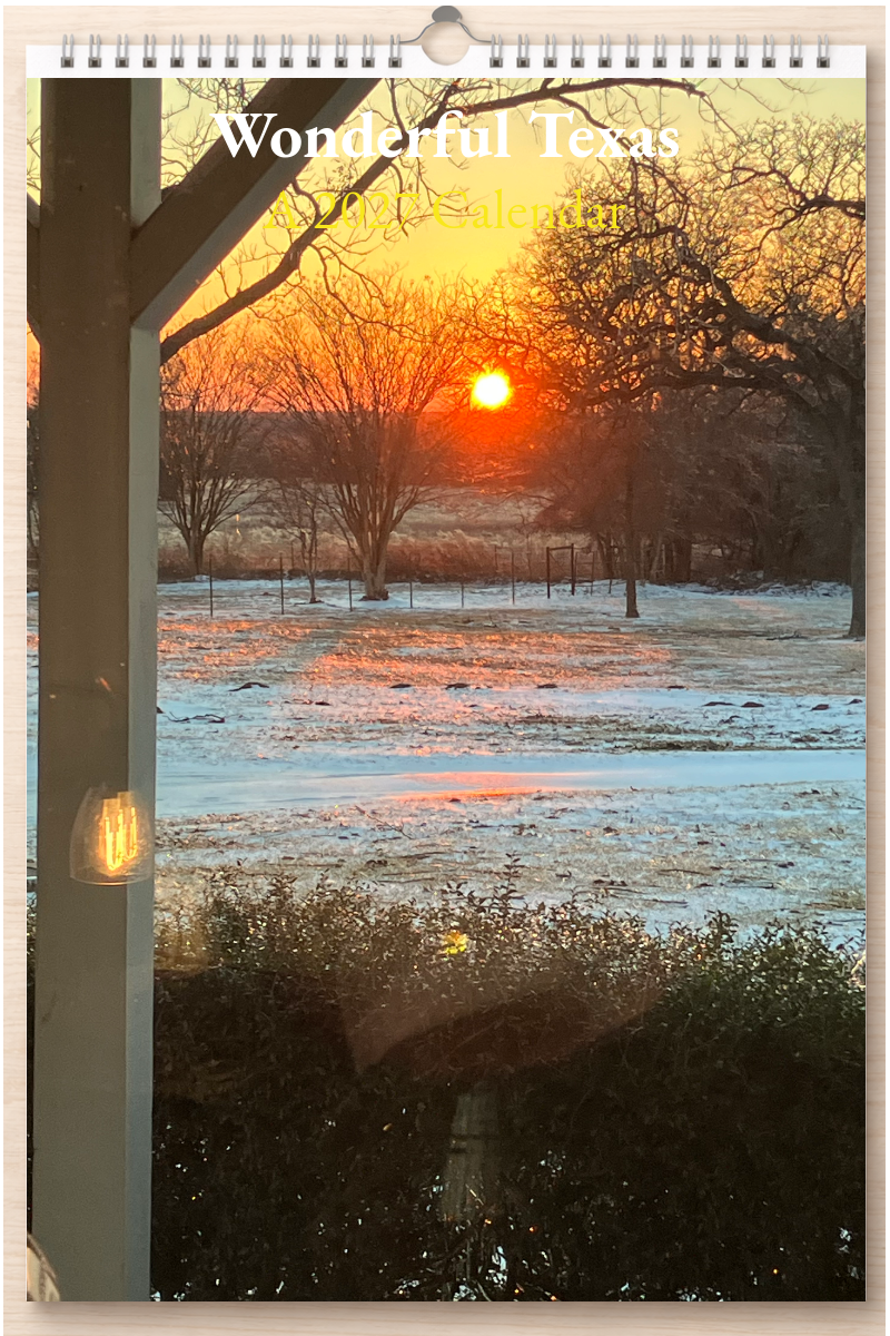 Wonderful Texas: A 2027 Calendar