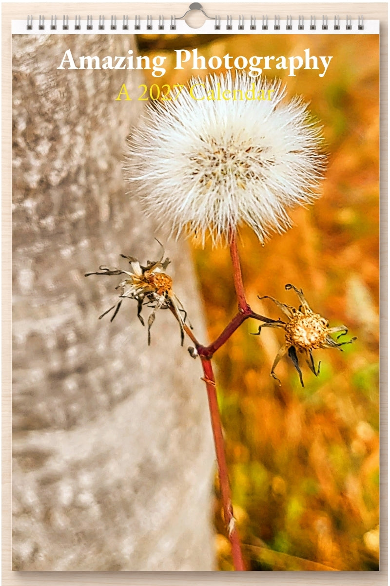 Amazing Photography: A 2027 Calendar
