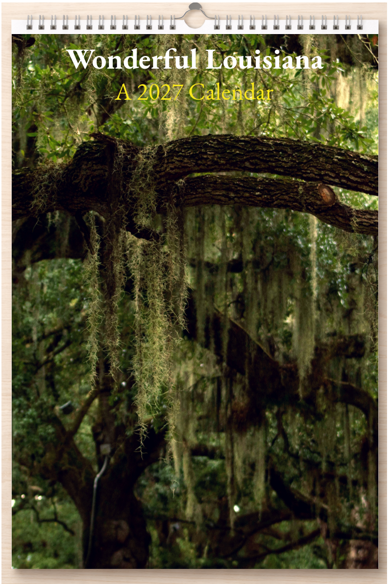 Wonderful Louisiana: A 2027 Calendar
