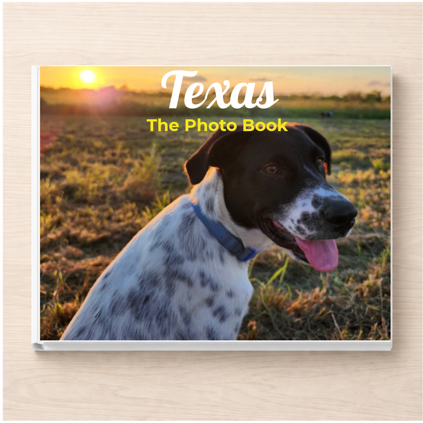 Texas: The Photo Book