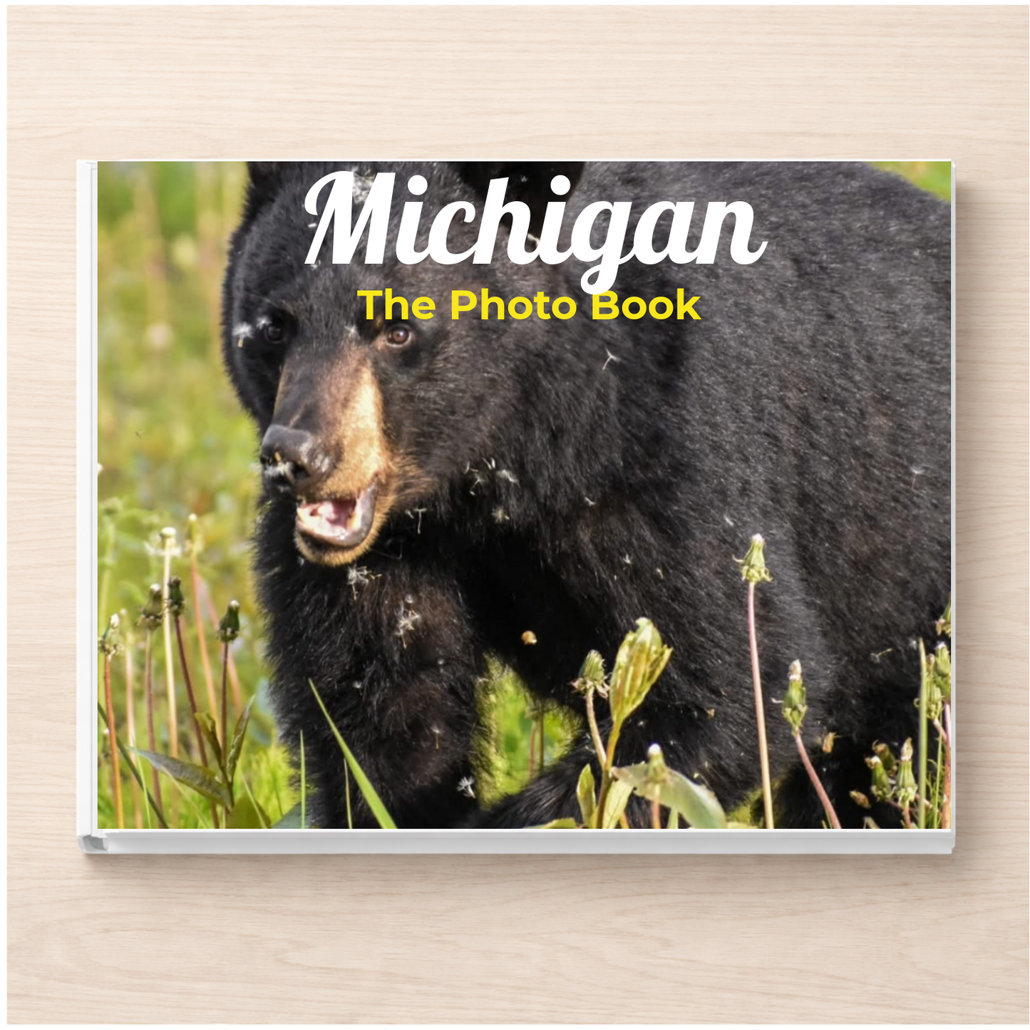 Michigan: The Photo Book