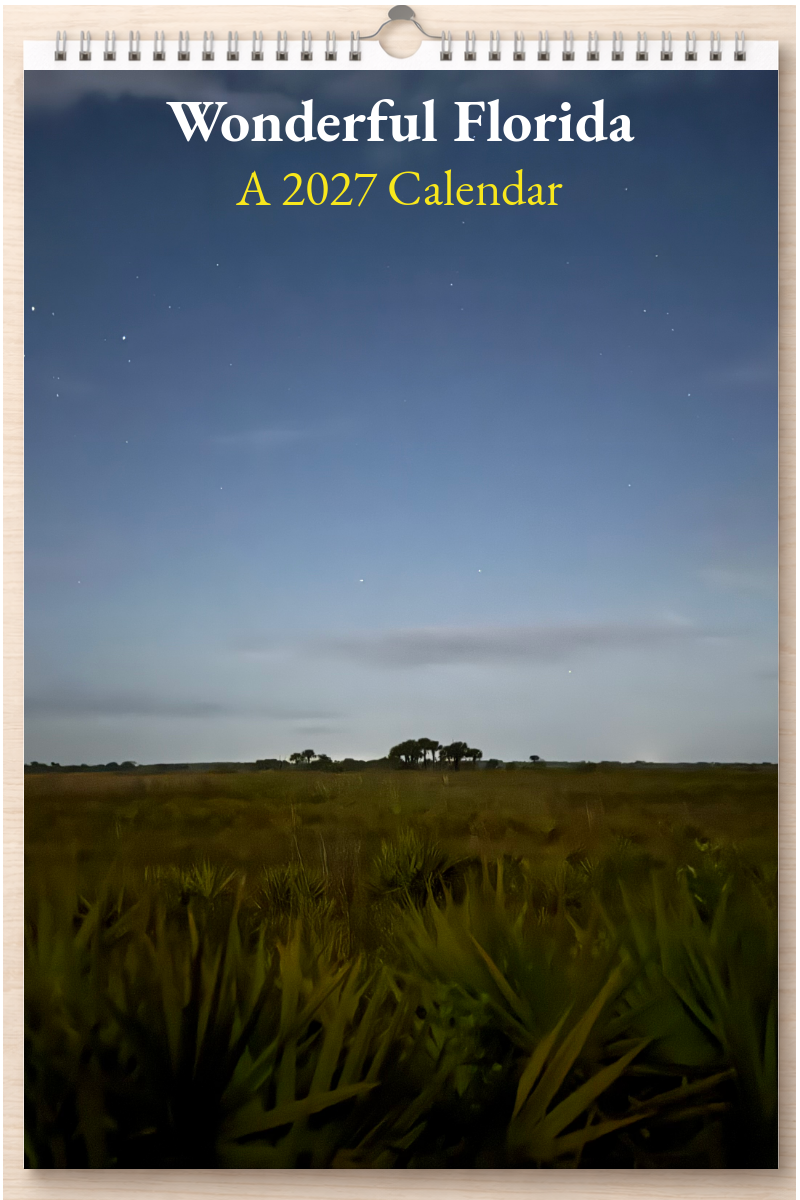 Wonderful Florida: A 2027 Calendar